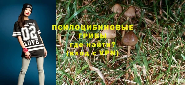 тгк Аркадак