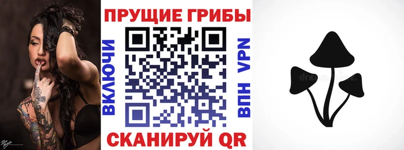 закладка  даркнет формула  KRAKEN маркетплейс  Галлюциногенные грибы ЛСД  Лагань 