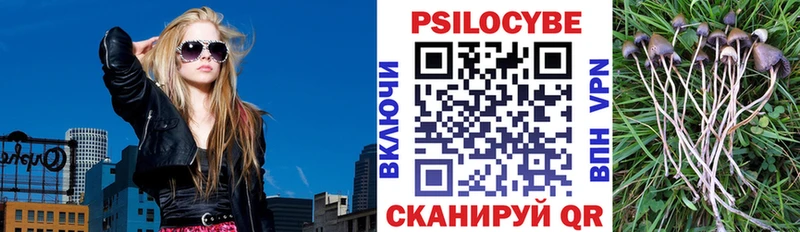 Псилоцибиновые грибы Psilocybe Лагань